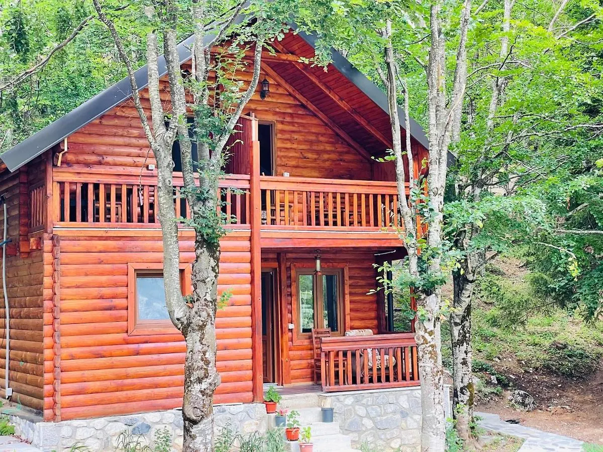 Krojet E Rrogamit Valbone Bed & Breakfast