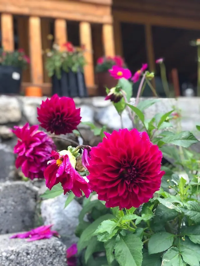 Krojet E Rrogamit Valbona Albanien
