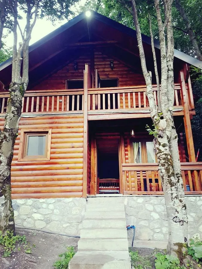 Bed & Breakfast Krojet E Rrogamit Valbone