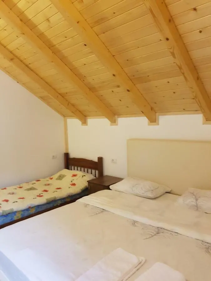 Krojet E Rrogamit Valbone Albanien