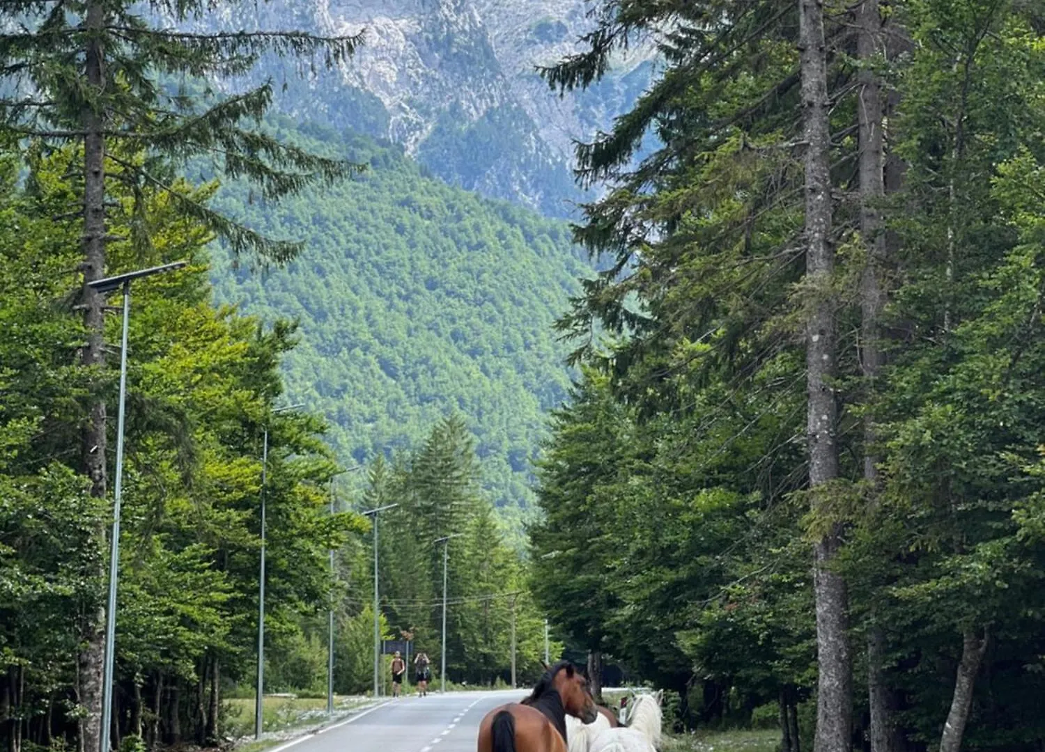 Krojet E Rrogamit Valbone Nocleg ze śniadaniem